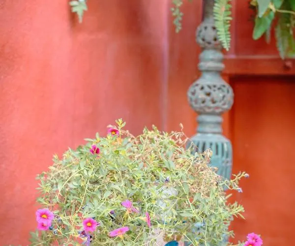 Casa Del Sol Terrace Parking Будинок відпочинку